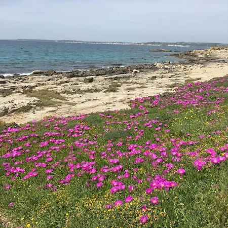 Da Thesi Appartamento Gallipoli