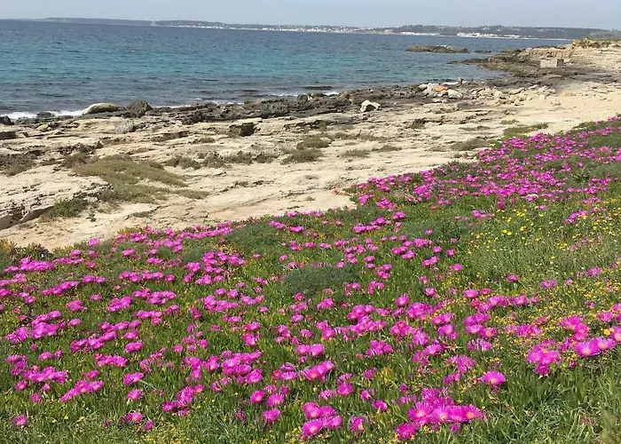 Da Thesi Apartamento Gallipoli